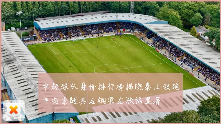 中超球队身价排行榜揭晓泰山领跑申花紧随其后铜梁龙涨幅显著
